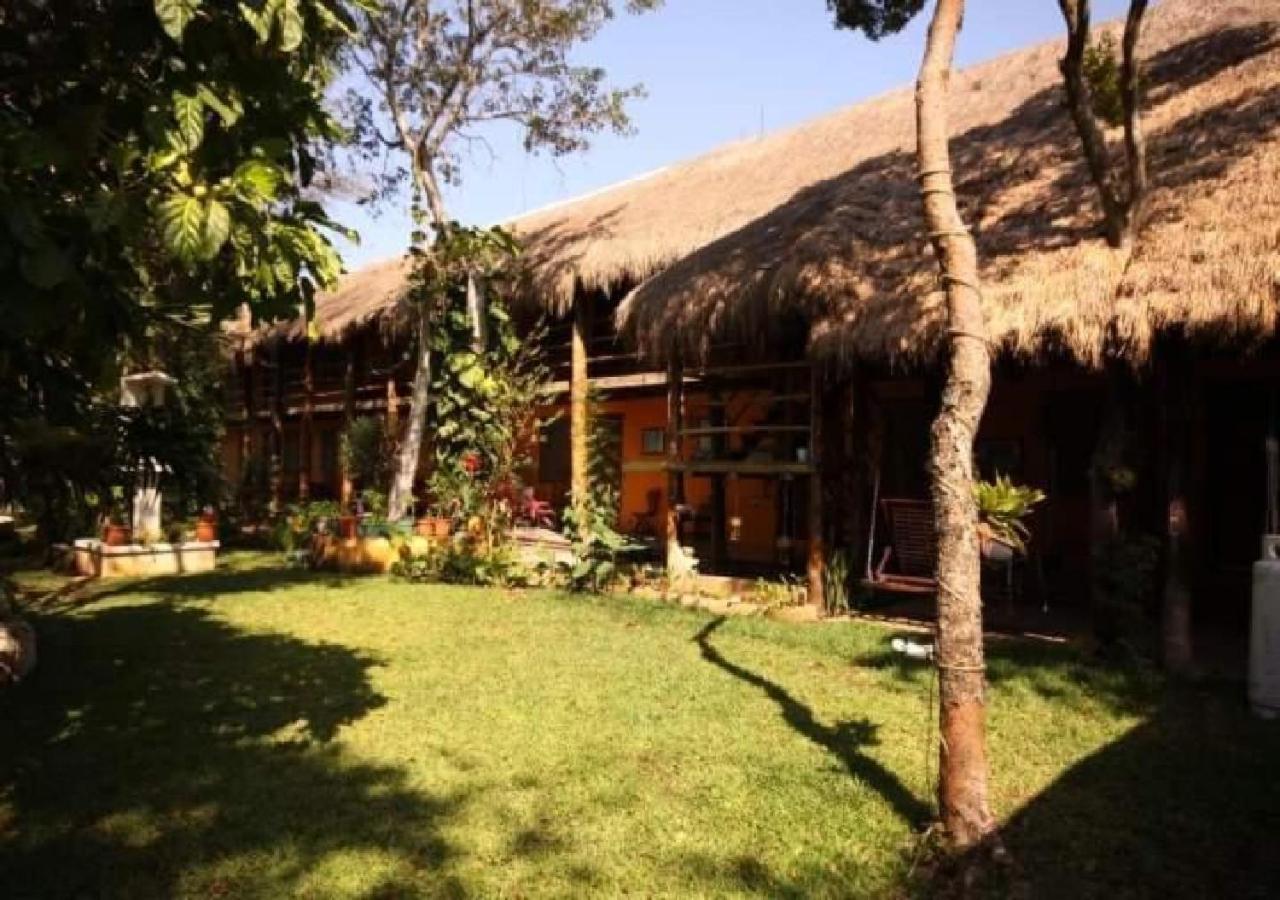 Esduma Iguanas Hotel 신데 델 카르멘 외부 사진