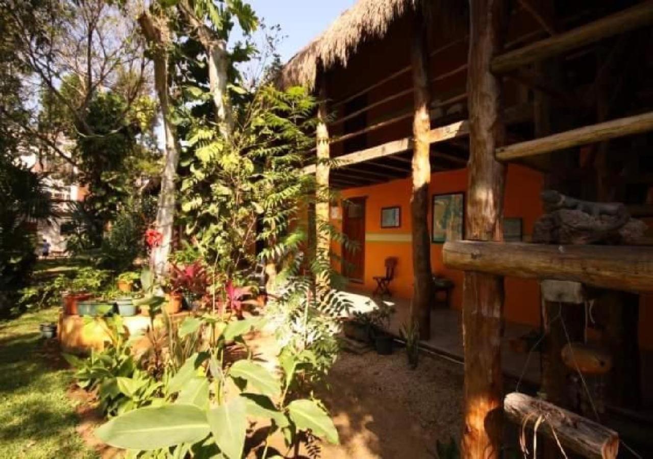 Esduma Iguanas Hotel 신데 델 카르멘 외부 사진